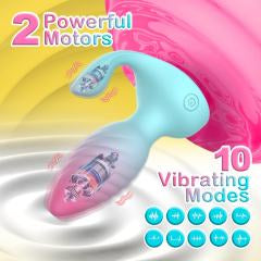 Pink & Blue 10-Speed Rechargeable Silicone Vibrating Anal Plug with Remote Control