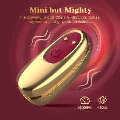 Red Rechargeable Silicone Vibrator Set with LOVE-Shaped Design – 4-Piece Combo, Remote Control, Waterproof